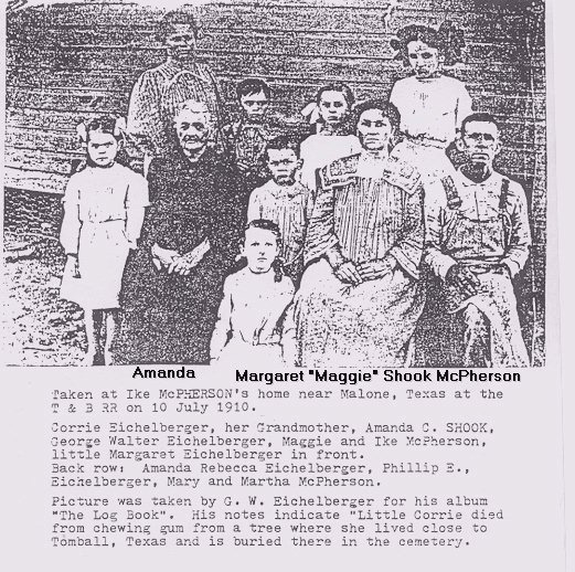 The Eichelberger, McPherson, and Shook Families (ca. 1910)